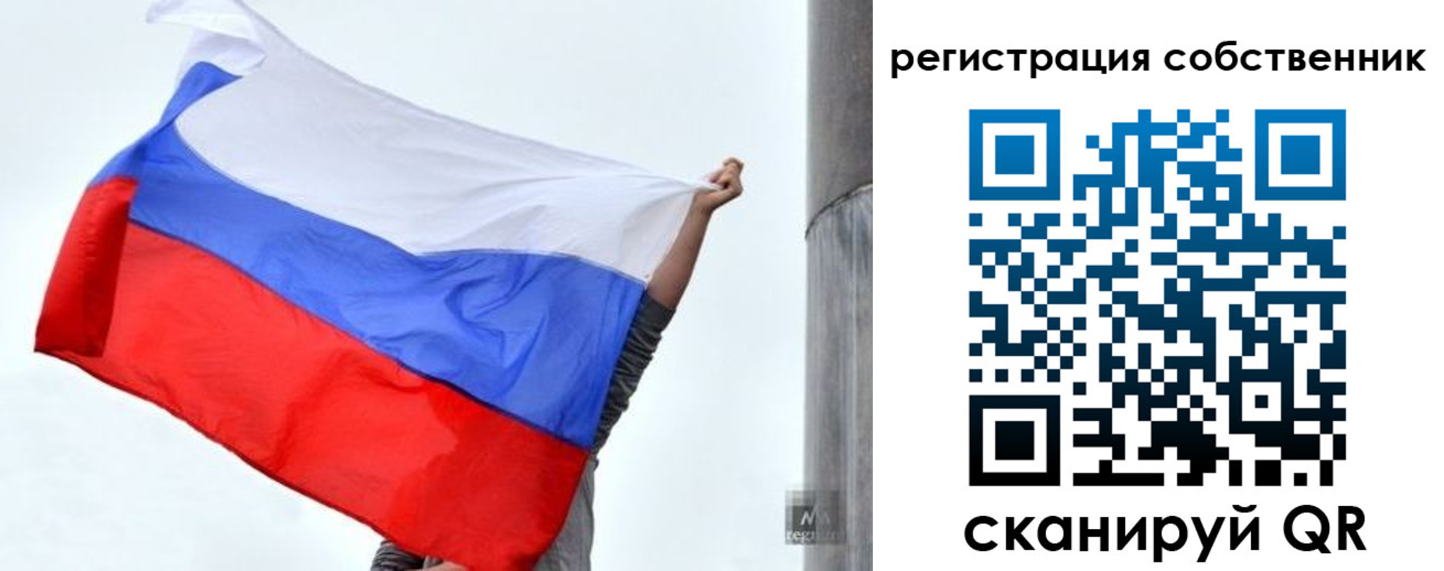 прописка в Павловском Посаде